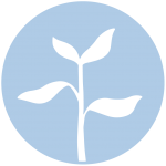 Leaf icon representing life coaching and personal growth with Shea Pestell in North Vancouver.